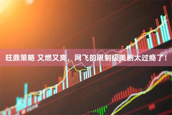 旺鼎策略 又燃又爽，网飞的限制级美剧太过瘾了！